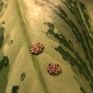 Alex n ani lotus Om flower earrings